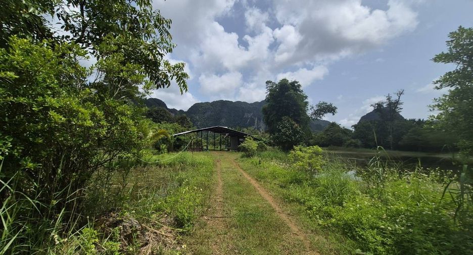 Grundstück zum Kauf in Mueang Krabi, Krabi