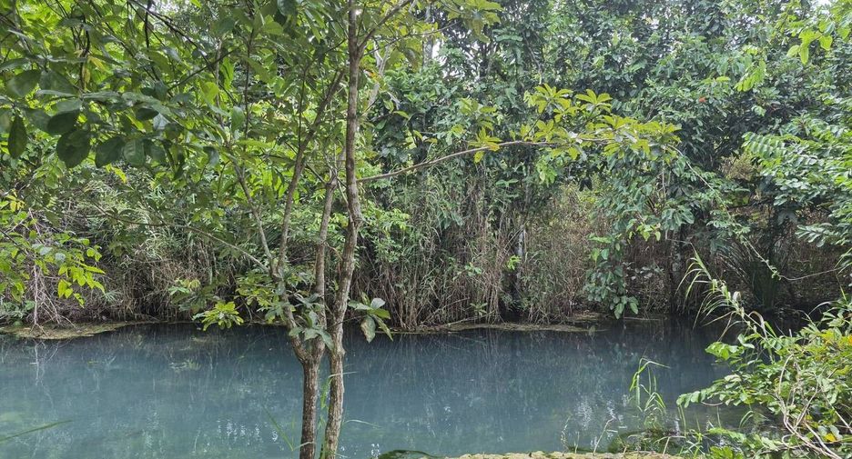 Grundstück zum Kauf in Mueang Krabi, Krabi