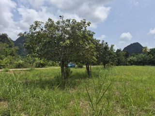 Grundstück zum Kauf in Mueang Krabi, Krabi