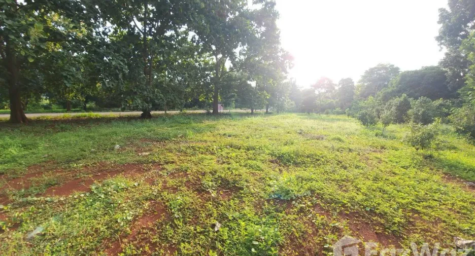 For sale land in Pak Chong, Nakhon Ratchasima