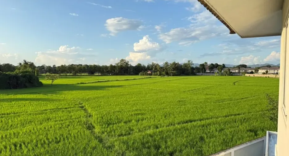 出售 3 卧室 独立屋 在 San Sai, Chiang Mai