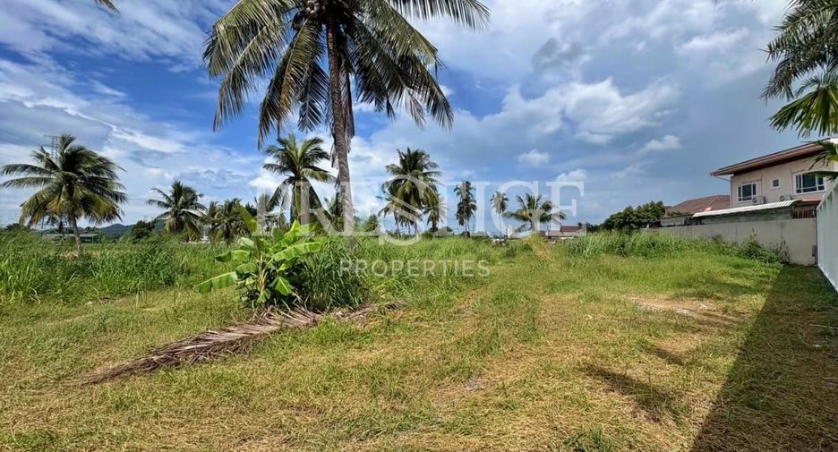 For sale land in Bang Saray, Pattaya