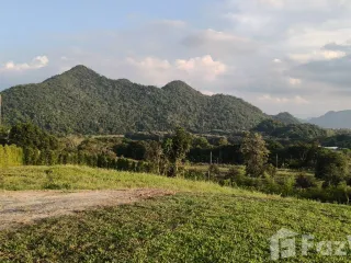 For sale land in Pak Chong, Nakhon Ratchasima