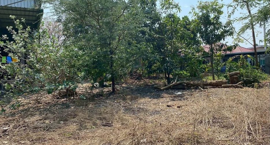 出售 土地 在 Mueang Chiang Mai, Chiang Mai