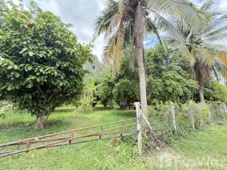 出售 土地 在 Cha-Am, Phetchaburi