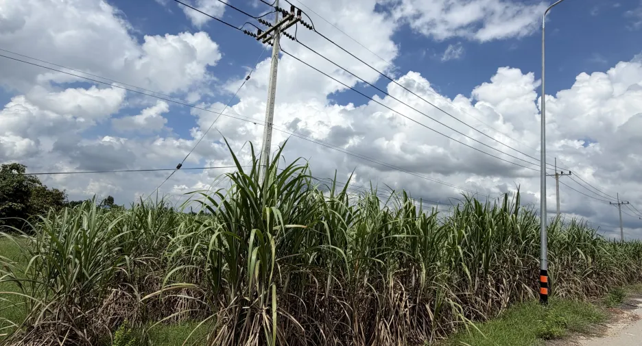For sale land in Chom Bueng, Ratchaburi