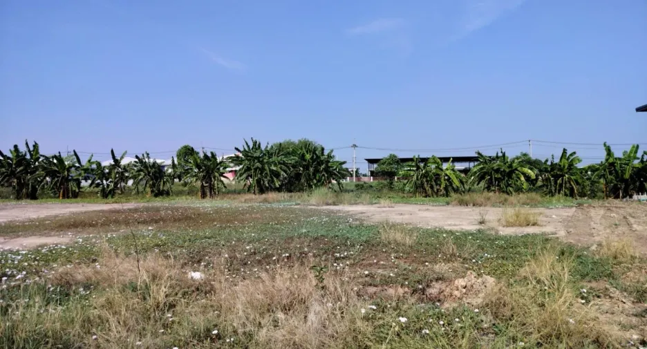 Продажа Участок в Bang Bua Thong, Нонтабури