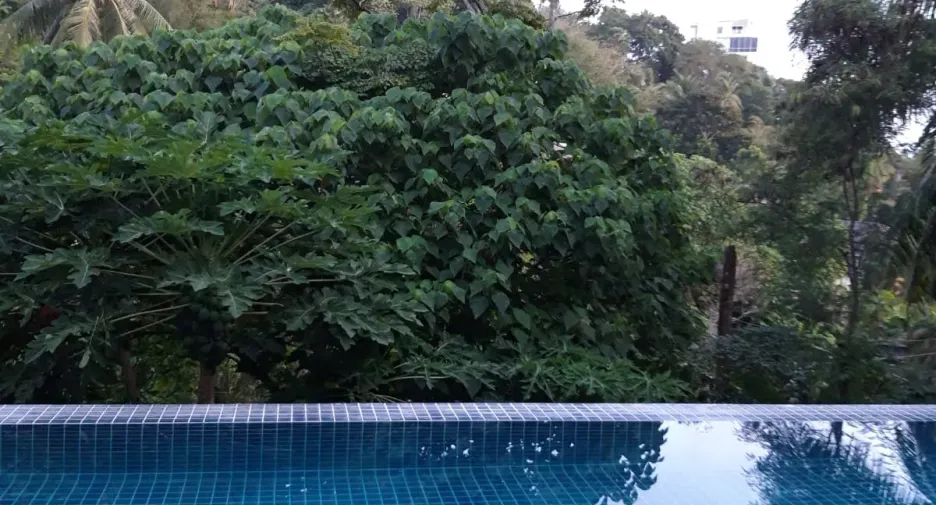 For sale 1 bed condo in Mueang Phuket, Phuket