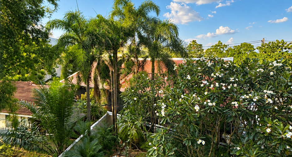 Продажа 1 кровать кондо в Mueang Chiang Mai, Чианг Маи