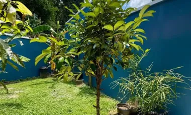 For sale and for rent 2 bedrooms house in Kathu, Phuket