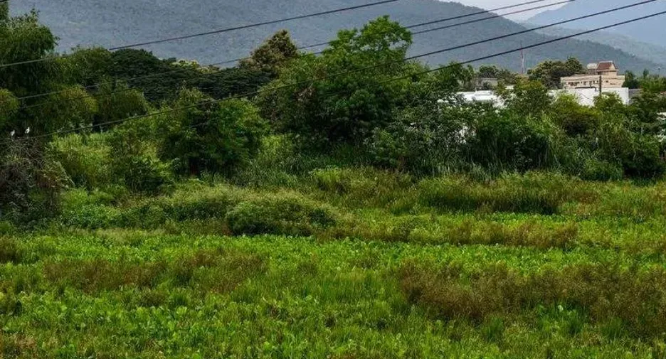 Haus zum Kauf mit 3 Zimmer in Mueang Chiang Mai, Chiang Mai
