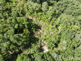 For sale land in Kathu, Phuket