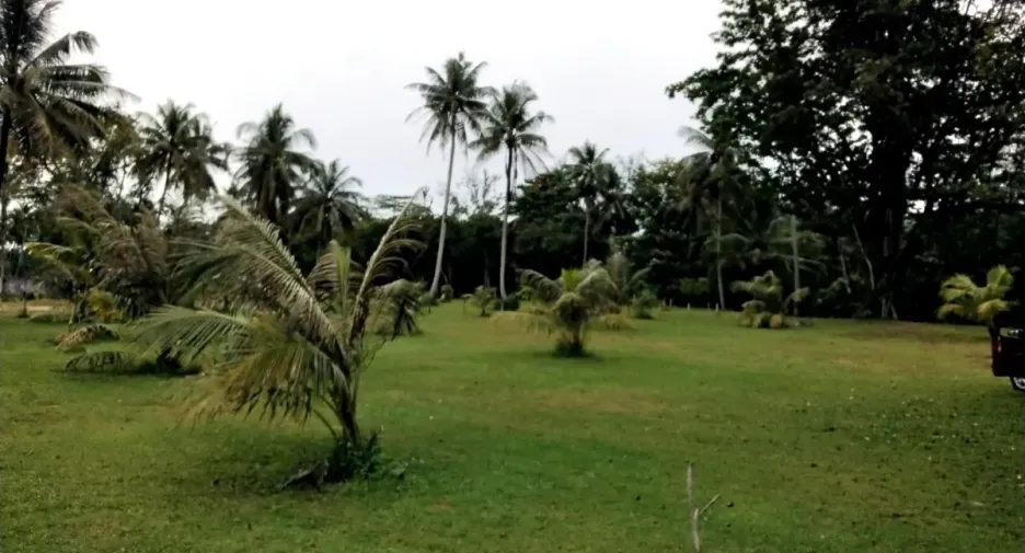 À vendre terrain à Thai Mueang, Phang Nga