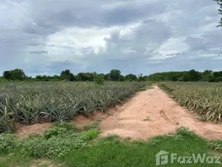 出售 土地 在 华欣, 班武里府