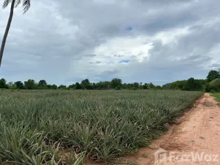 出售 土地 在 华欣, 班武里府