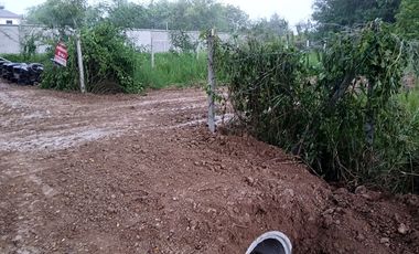 ขาย ที่ดิน ใน สันป่าตอง, เชียงใหม่