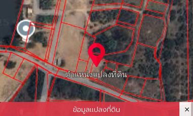 ขาย ที่ดิน ใน สันป่าตอง, เชียงใหม่