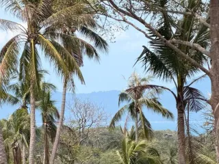 For sale 4 ベッドルーム villa in Ko Samui, Surat Thani