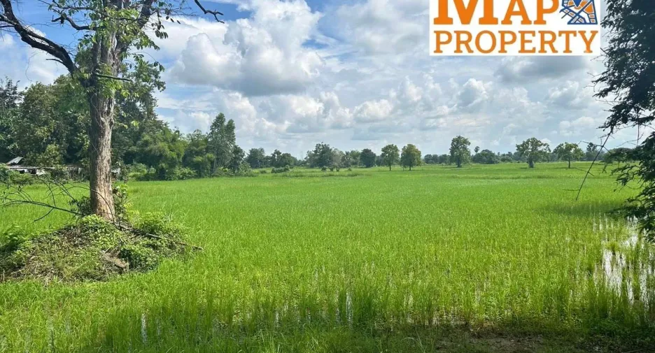 For sale land in Phanna Nikhom, Sakon Nakhon