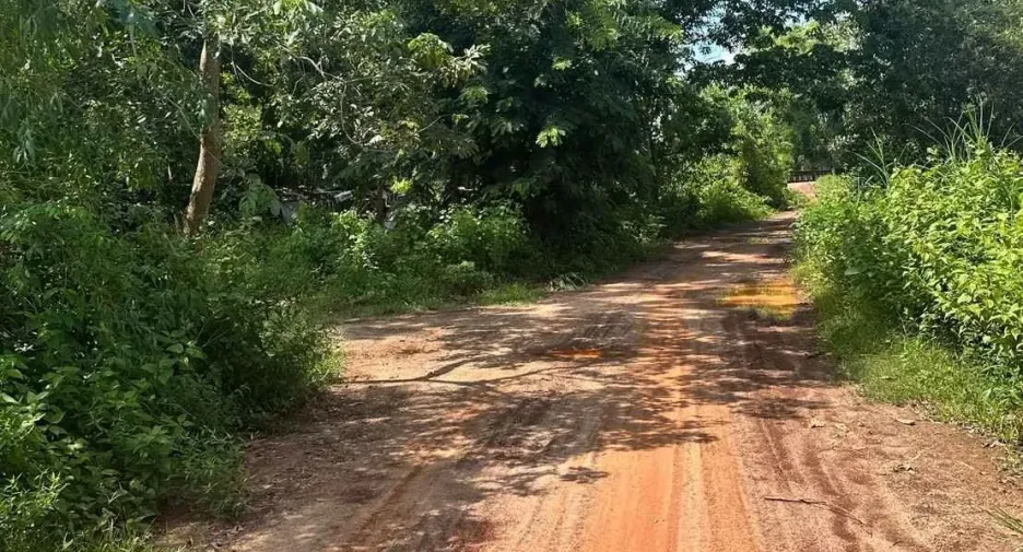 For sale land in Phanna Nikhom, Sakon Nakhon