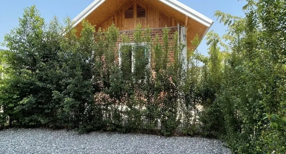 For sale 4 bedrooms house in Sam Roi Yot, Prachuap Khiri Khan