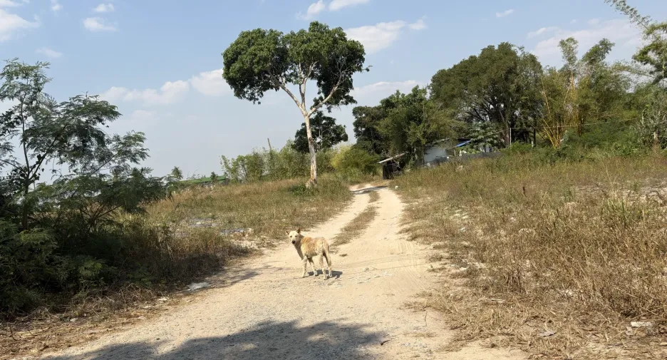 For sale land in Bang Saray, Pattaya