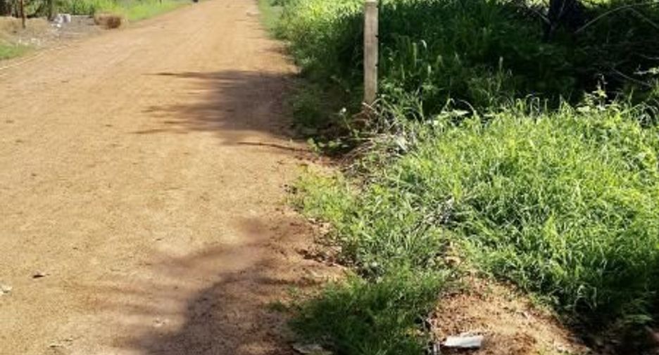 Grundstück zum Kauf in Bang Lamung, Chonburi