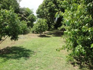 For sale land in Mueang Sakon Nakhon, Sakon Nakhon