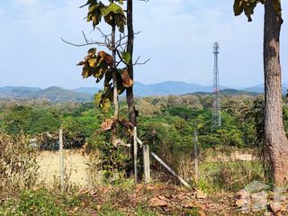 For sale land in Hang Dong, Chiang Mai
