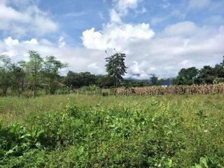 For sale land in Pai, Mae Hong Son