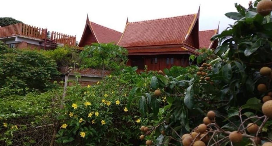 For sale 4 bedrooms house in Li, Lamphun