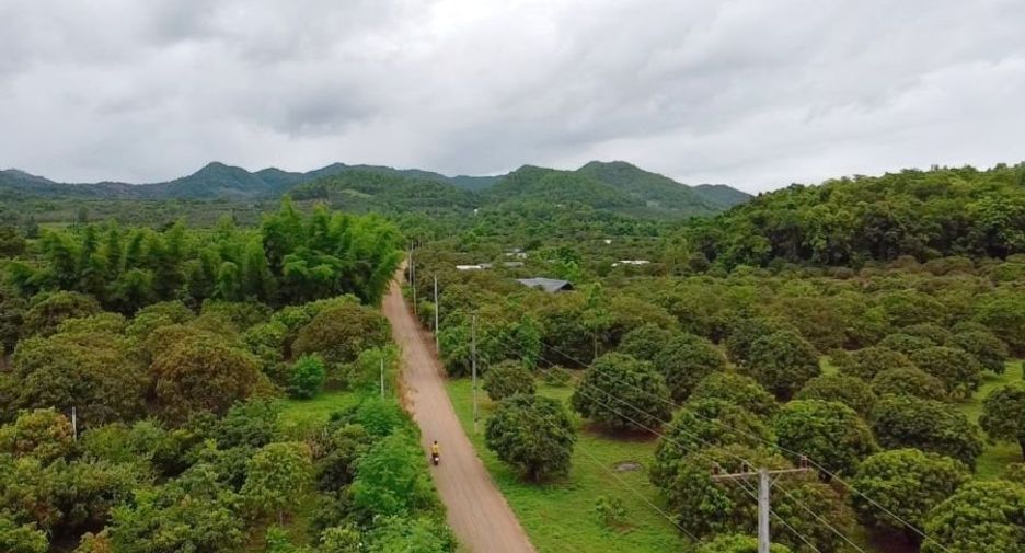 For sale 4 bedrooms house in Li, Lamphun