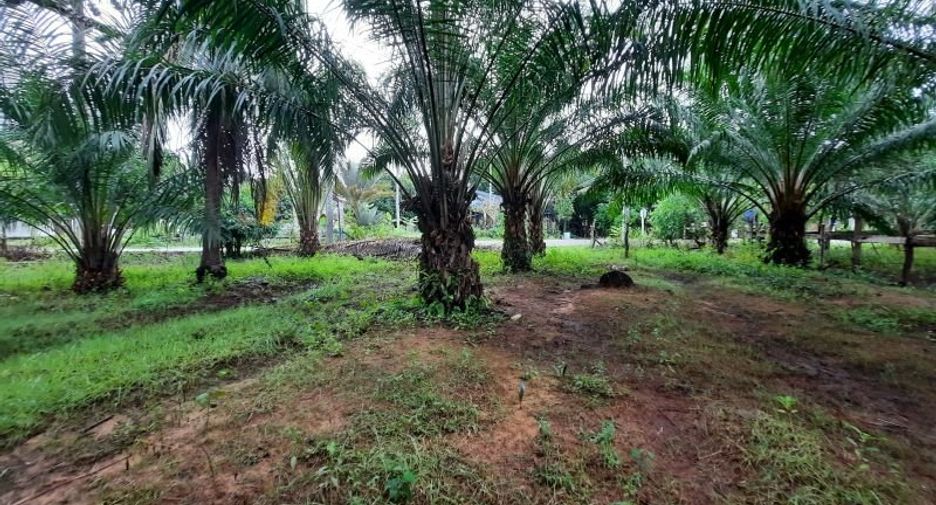 ขาย ที่ดิน ใน เหนือคลอง, กระบี่