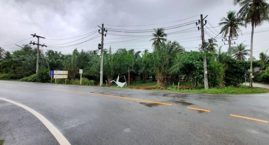 ขาย ที่ดิน ใน เหนือคลอง, กระบี่