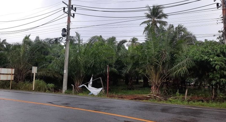 ขาย ที่ดิน ใน เหนือคลอง, กระบี่