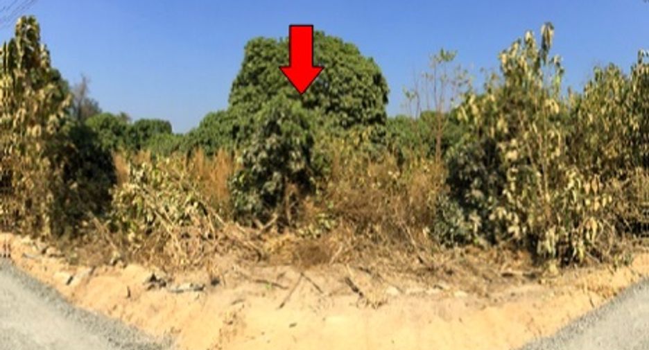 Terreno en venta en Chom Thong, Chiang Mai