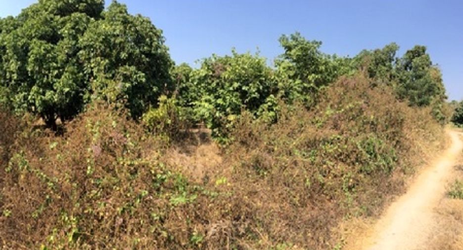 Terreno en venta en Chom Thong, Chiang Mai