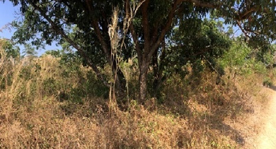 Terreno en venta en Chom Thong, Chiang Mai