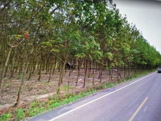 For sale land in Phon Charoen, Bueng Kan