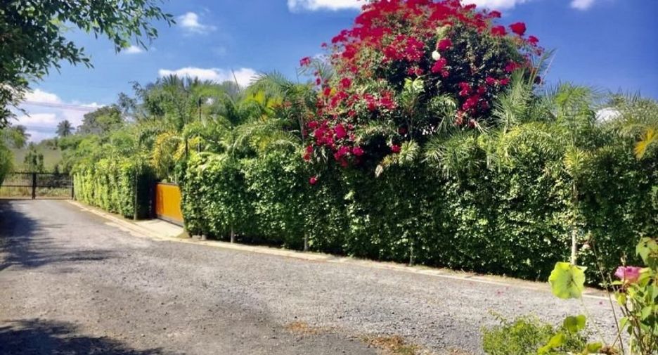 Haus zur Miete und zum Kauf mit 4 Zimmer in Bang Lamung, Chonburi