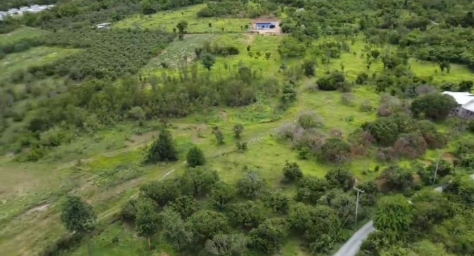 For sale land in Ban Hong, Lamphun