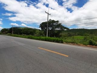 出售 土地 在 Ban Hong, Lamphun