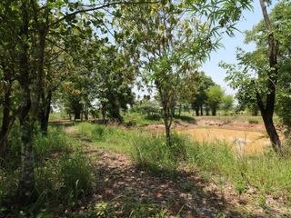 For sale studio land in Nong Han, Udon Thani