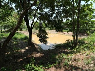 For sale studio land in Nong Han, Udon Thani