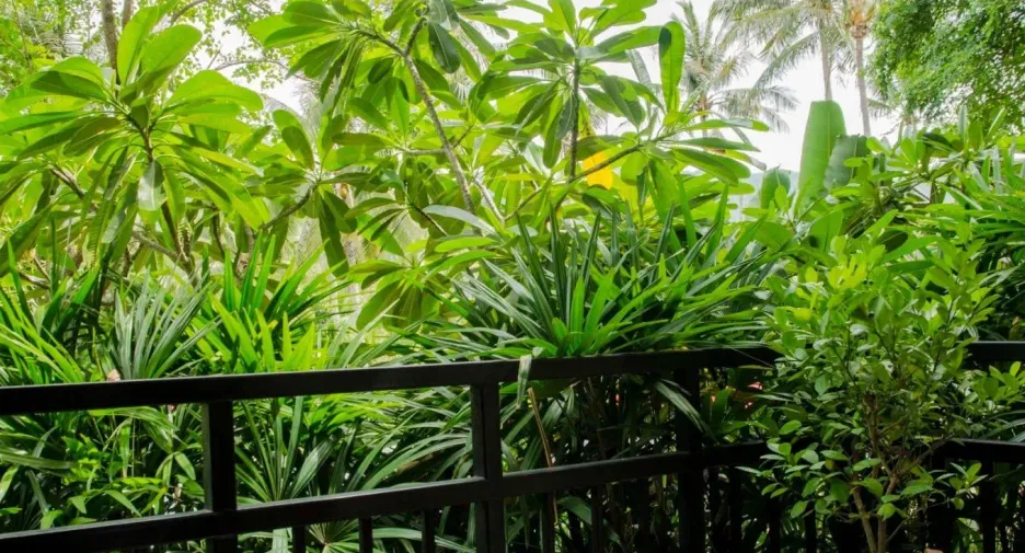 For rent 1 bed apartment in Ko Samui, Surat Thani