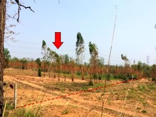 For sale land in Mueang Chaiyaphum, Chaiyaphum