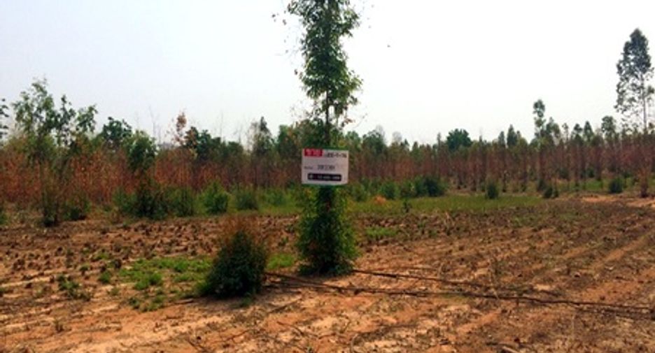For sale land in Mueang Chaiyaphum, Chaiyaphum