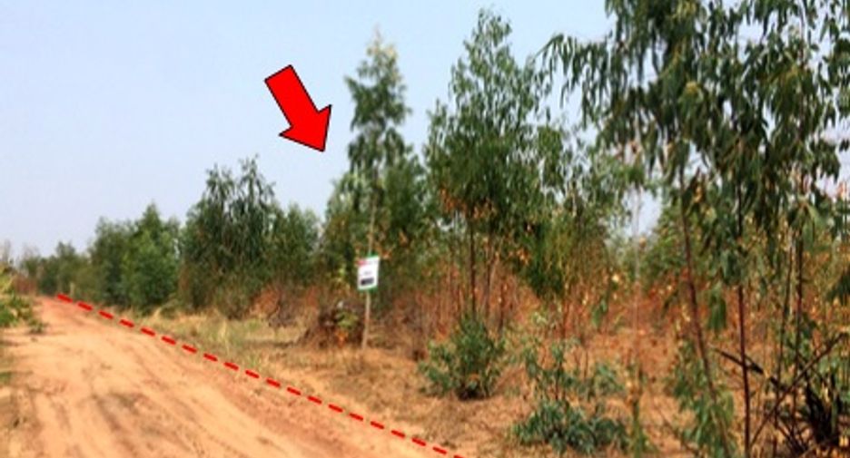 For sale land in Mueang Chaiyaphum, Chaiyaphum