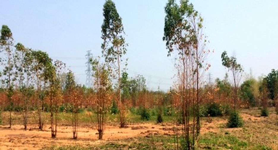 For sale land in Mueang Chaiyaphum, Chaiyaphum