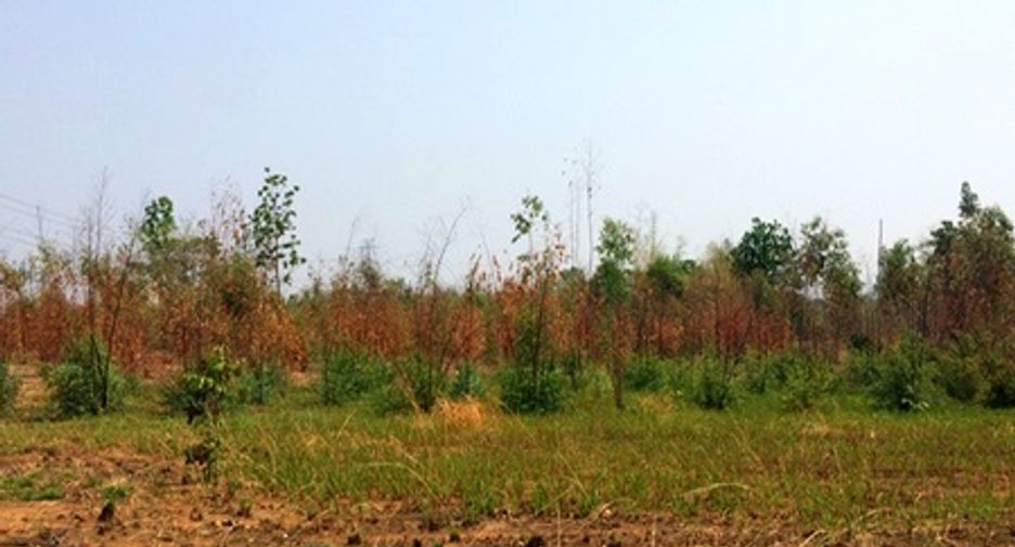 For sale land in Mueang Chaiyaphum, Chaiyaphum